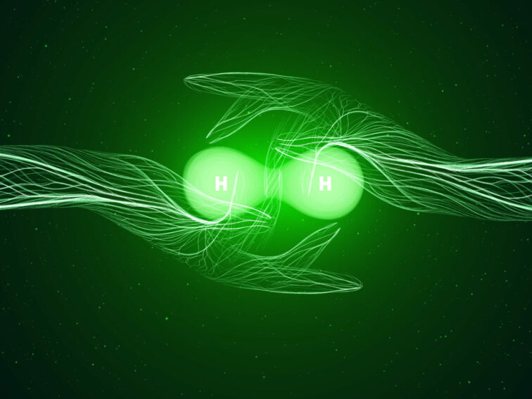 De nervus vagus uitgelegd: zo werkt je ontspanningszenuw